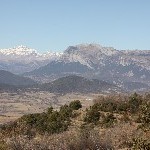 IMG_8751.jpg