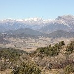IMG_8757.jpg