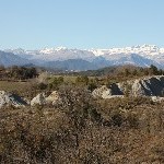 IMG_8807.jpg