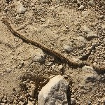 IMG_8936.jpg