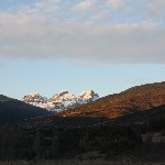 IMG_8950.jpg