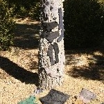 IMG_8978.jpg
