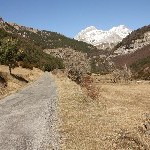 IMG_8983.jpg