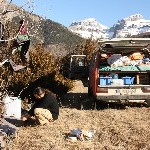 IMG_9038.jpg