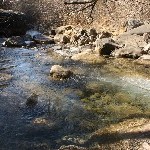 IMG_9048.jpg