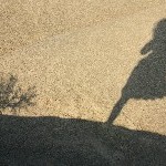 IMG_9106.jpg