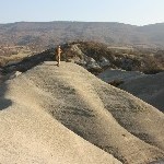 IMG_9118.jpg