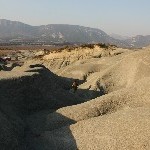 IMG_9125.jpg