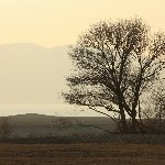 IMG_9155.jpg