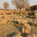 IMG_9164.jpg