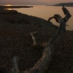 IMG_9212.jpg