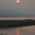 IMG_9219.jpg
