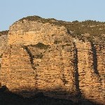 IMG_9234.jpg