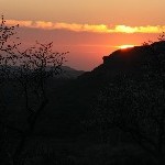 IMG_9248.jpg