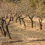 IMG_9258.jpg