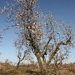 IMG_9263.jpg