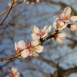 IMG_9265.jpg