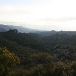 IMG_9285.jpg