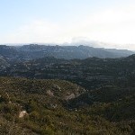 IMG_9287.jpg