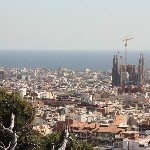 IMG_9333.jpg