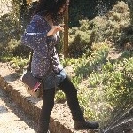 IMG_9339.jpg