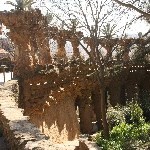 IMG_9364.jpg