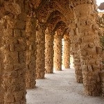 IMG_9404.jpg