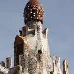 IMG_9456.jpg