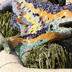 IMG_9460.jpg