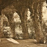 IMG_9479.jpg