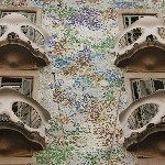 IMG_9513.jpg