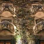 IMG_9545.jpg