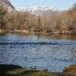 IMG_9631.jpg