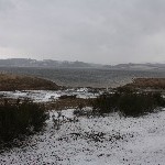 IMG_9654.jpg