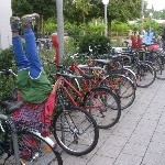 IMG_0612.jpg