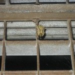 IMG_0646.jpg