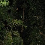 IMG_0649.jpg