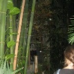 IMG_0651.jpg