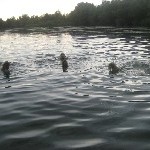 IMG_0663.jpg