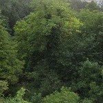 IMG_0671.jpg