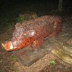 IMG_0678.jpg
