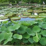 IMG_0704.jpg