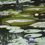 IMG_0705.jpg