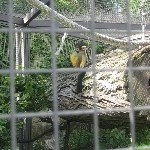 IMG_0709.jpg