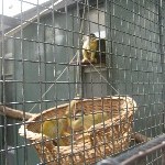 IMG_0710.jpg