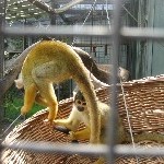 IMG_0711.jpg