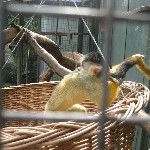 IMG_0712.jpg