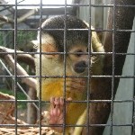 IMG_0715.jpg