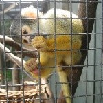 IMG_0716.jpg