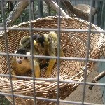 IMG_0717.jpg